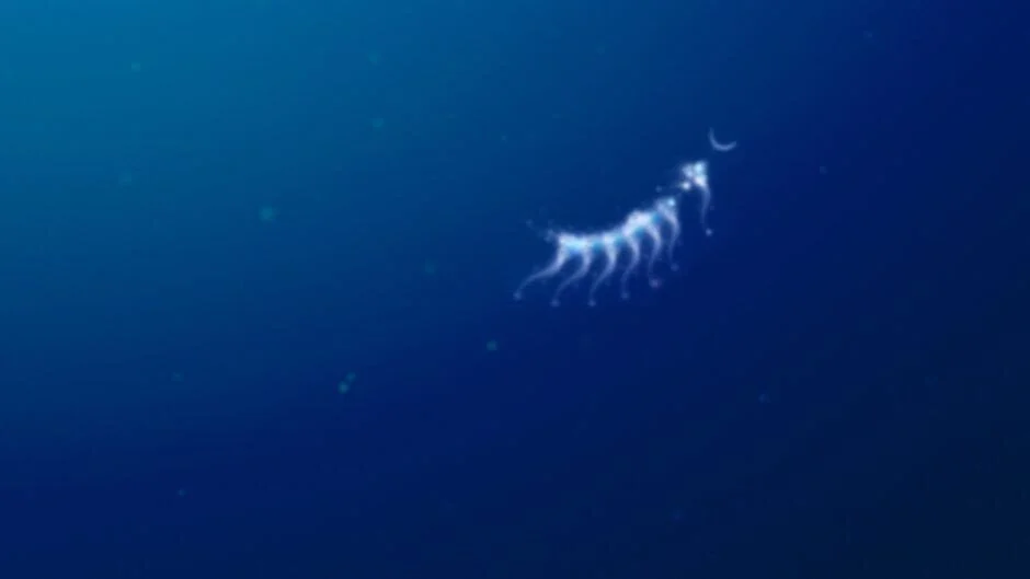 Cover Image of flOw