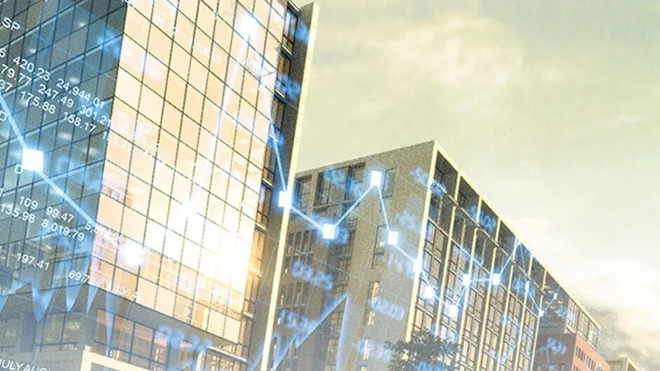 Cover Image of Capitalism II